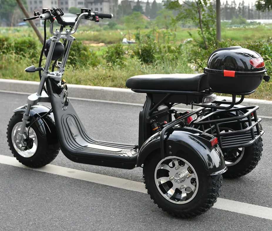 High-Powered 3 Wheel Electric Scooter: 2000W Motor, 35-45KM/H Max Speed, 250KG Max Load, 18 Inch Off-Road Fat Tire Electric Scooter for Adults