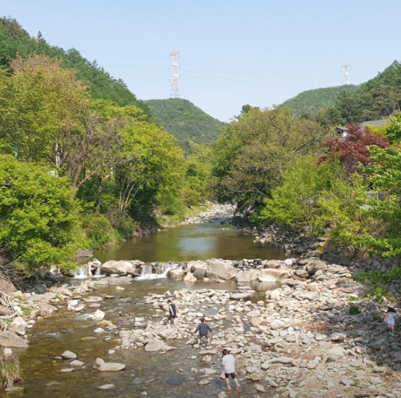 경기도 가평 설악면 야영장 인근 서울 근교 어비산계곡 늘푸른쉼터 오토 캠핑장