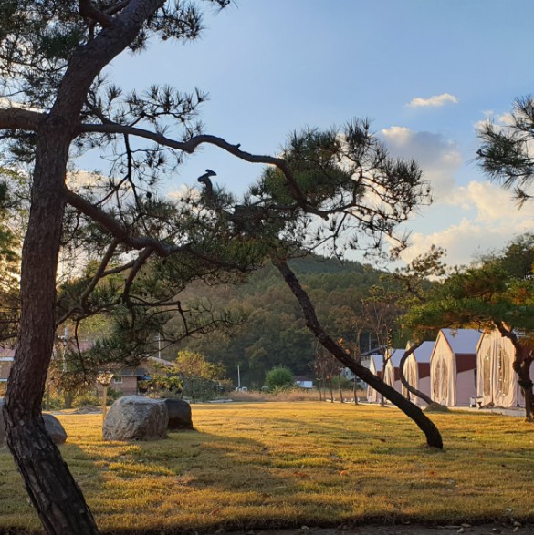 경기도 양평 옥천면 바베큐 야영장 캠핑장 인근 서울 근교 더휴글램핑