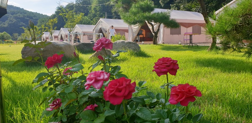 경기도 양평 옥천면 바베큐 야영장 캠핑장 인근 서울 근교 더휴글램핑