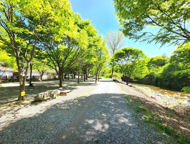 경기도 가평 설악면 유명산 계곡 야영장 인근 서울 근교 개울가 오토 캠핑장