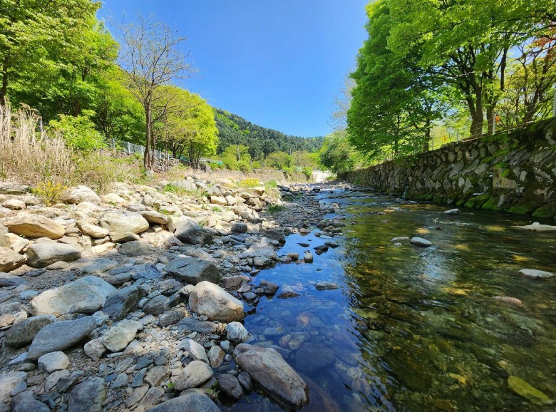 경기도 가평 설악면 유명산 계곡 야영장 인근 서울 근교 개울가 오토 캠핑장