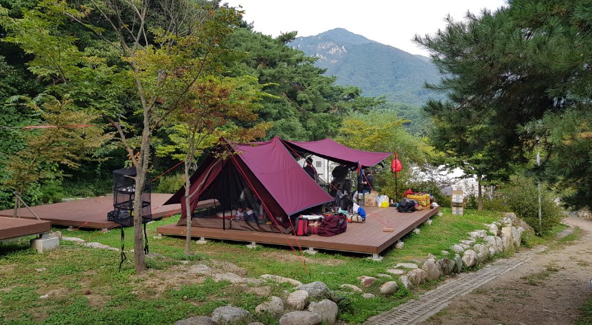 경기도 양평 용문면 서울 근교 애완동물 동반 가능 용문산 관광단지 내 야영장 글램핑 캠핑장