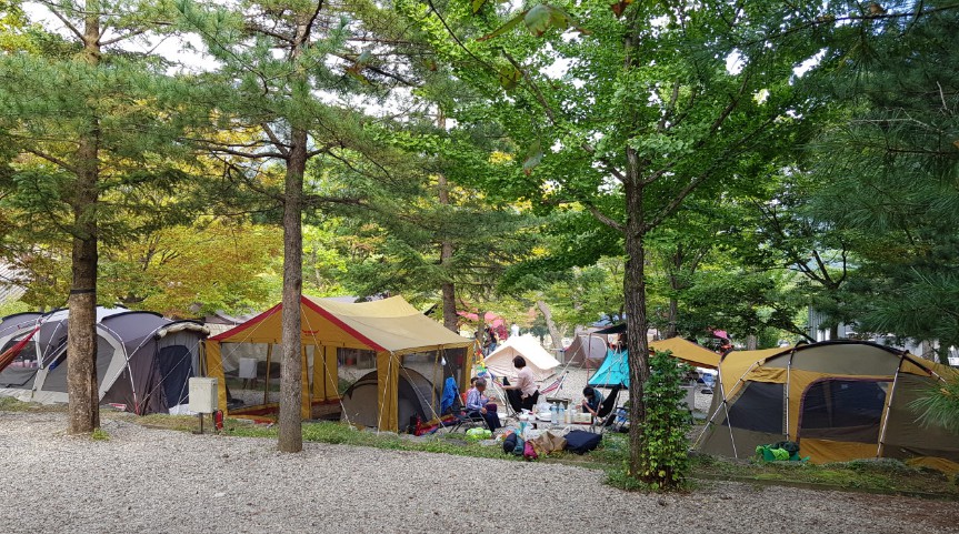 경기도 양평 용문면 서울 근교 애완동물 동반 가능 용문산 관광단지 내 야영장 글램핑 캠핑장