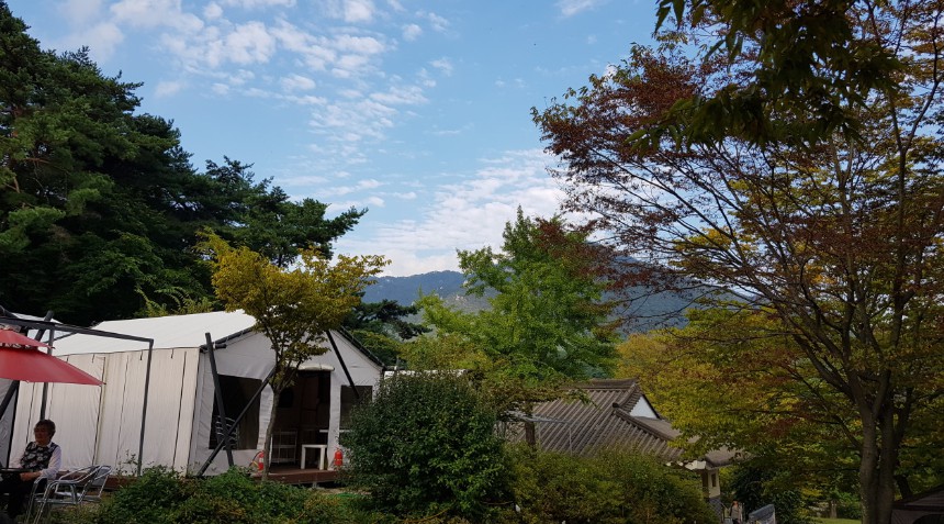 경기도 양평 용문면 서울 근교 애완동물 동반 가능 용문산 관광단지 내 야영장 글램핑 캠핑장