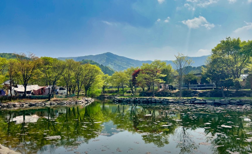 경기도 가평 설악면 서울 근교 야영장 계곡 물놀이 유명산 밸리 캠핑장