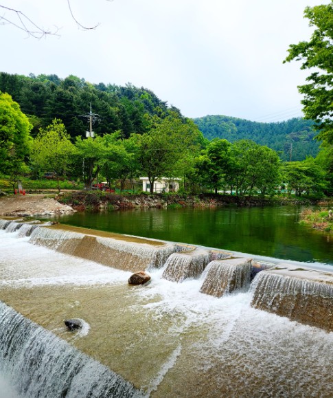 경기도 가평 설악면 유명산 인근 서울 근교 야영장 한옥집 밤벌 캠핑장