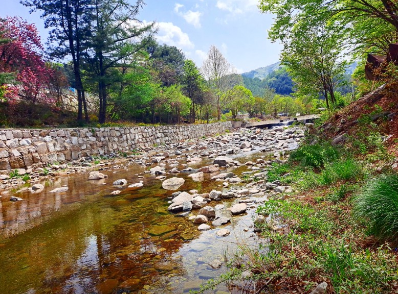 경기도 가평 설악면 유명산 인근 서울 근교 야영장 한옥집 밤벌 캠핑장