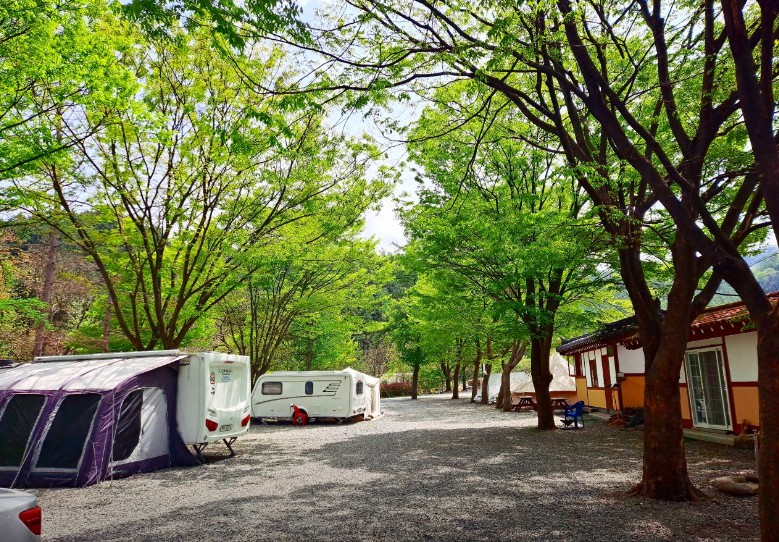 경기도 가평 설악면 유명산 인근 서울 근교 야영장 한옥집 밤벌 캠핑장