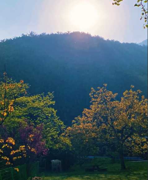 강원도 원주시 감성 캠핑장 야영장 글램핑 애완견 반려 동물 동반 가능 캄파슬로우