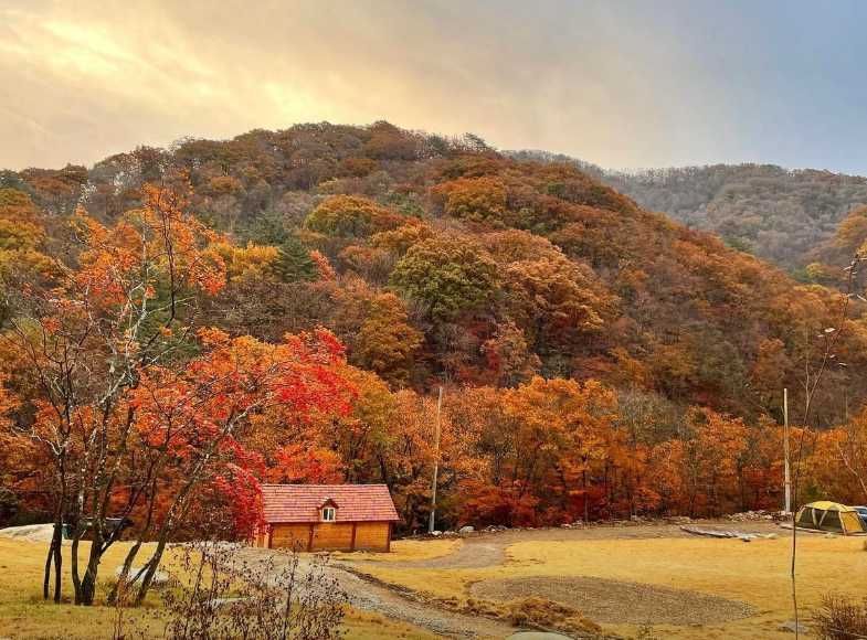 강원도 평창군 흥정계곡 인근 산속 청정 환경 오토 캠핑장 야영장 글램핑장 라플란드