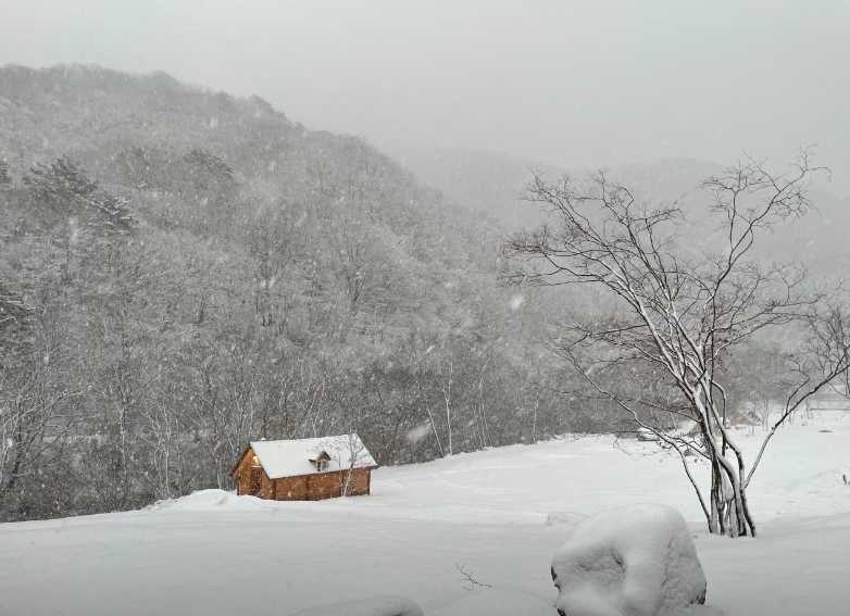 강원도 평창군 흥정계곡 인근 산속 청정 환경 오토 캠핑장 야영장 글램핑장 라플란드