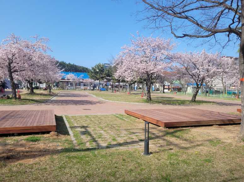 충남 보령 해수욕장 야영장 카라반 트레일러 캠핑카 무창포 오토 캠핑장