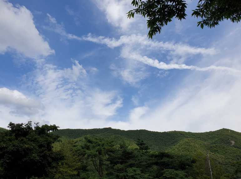 충남 부여 대전 근교 수영장 물놀이 민박 카라반 야영장 캠핑장 홍산관광농원