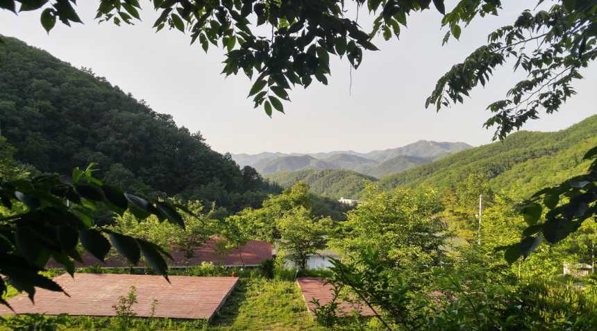 강원도 홍천 숲속 산림욕 물놀이 가능 야영장 글램핑 산으로 캠핑장