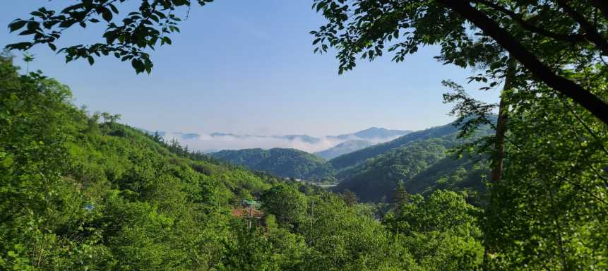 강원도 홍천 숲속 산림욕 물놀이 가능 야영장 글램핑 산으로 캠핑장