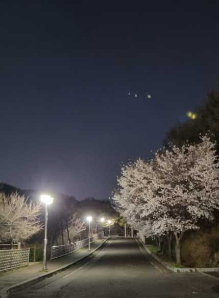 인천광역시 남동구 당일치기 야영장 인천대공원 캠핑장