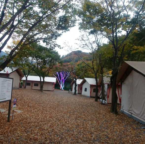 부산 기장 야영장 캠핑장 펜션 동물농장 물놀이 초원숲속 글램핑