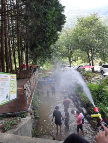 전라도 전남 내장산 근처 야영장 캠핑장 애견동반 펜션 놀이터 물놀이 편백힐 치유의 숲