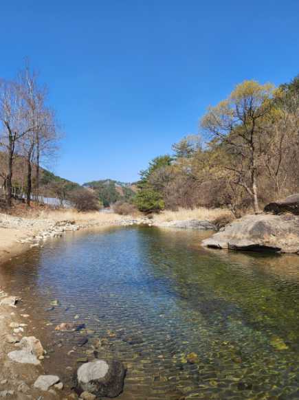 강원도 영월 학교 계곡 영유야 물놀이 가능 넓은 야영장 두산분교 오토 캠핑장