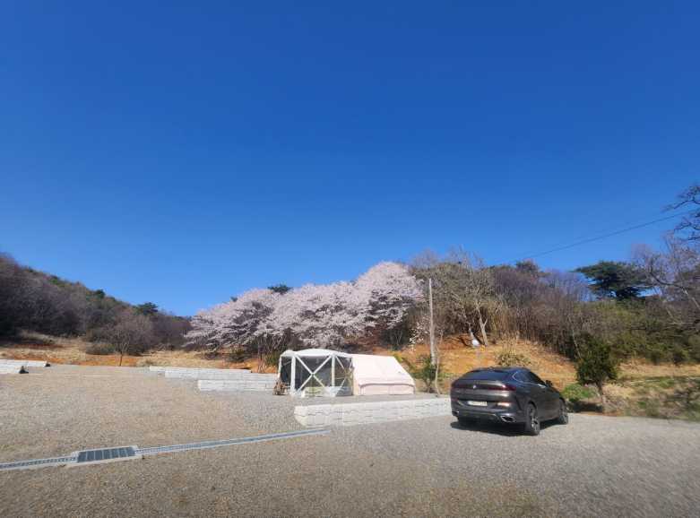 충남 당진 야영장 애완견 동반 가능 시골 풍경 차박 캠핑장 푸르미르관광농원