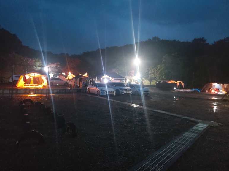 충남 당진 야영장 애완견 동반 가능 시골 풍경 차박 캠핑장 푸르미르관광농원