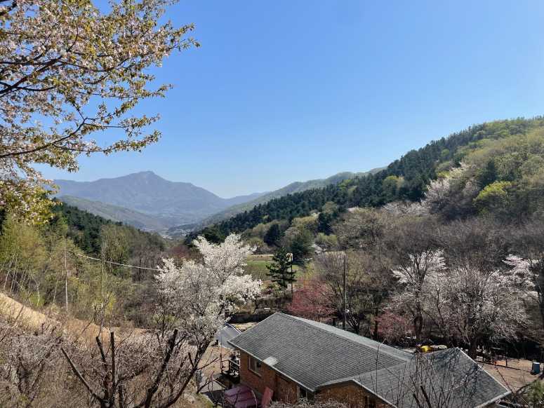 경기도 남양주시 철마산 근처 차박 카라반 야영장 캠핑장 포레스트벨리캠프