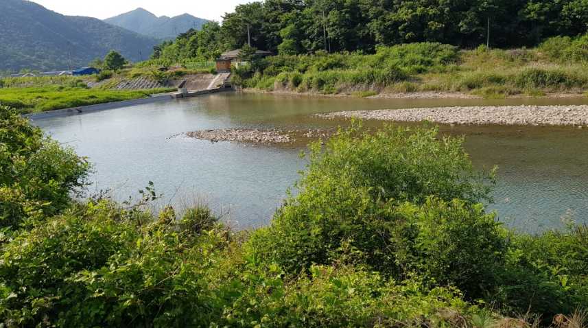 충청도 보은 속리산 근처 계곡 캠핑장 수영장 카라반 보은 글램핑