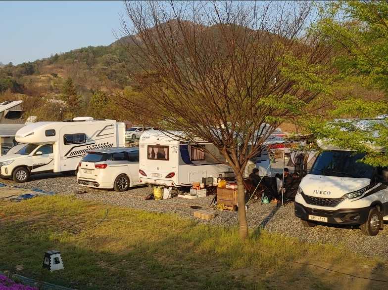 충청도 보은 속리산 근처 야영장 캠핑장 카라반 텐트 트레일러 정이품송관광농원