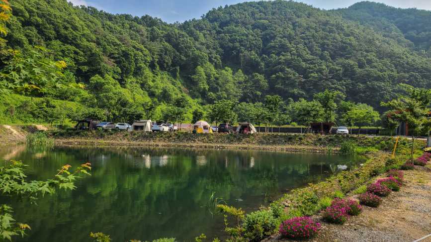 충북 보은 야영장 구룡산 냇가 계곡 물놀이 낚시터 둥지 캠핑장