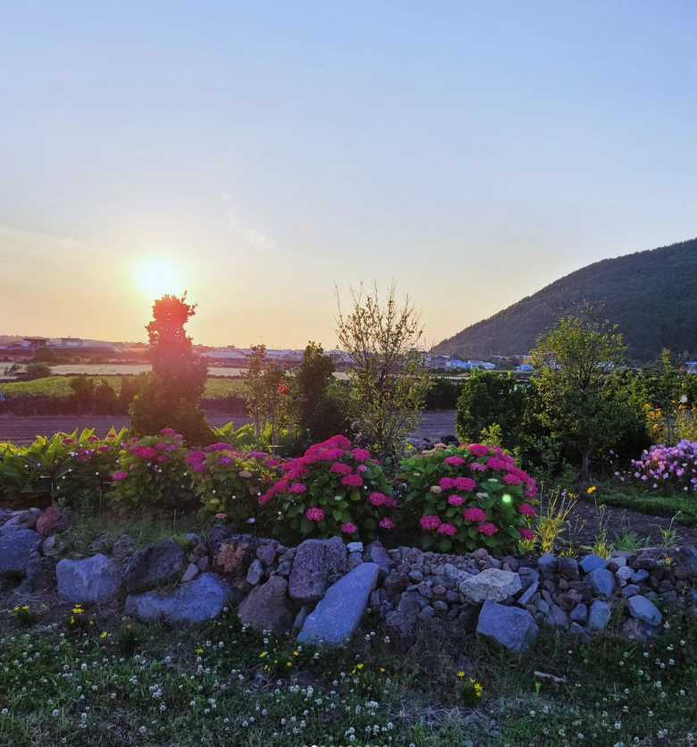 제주도 성산 일출봉 우도 근처 독채 숙소 애견동반 이스트몽블루 카라반 캠핑장