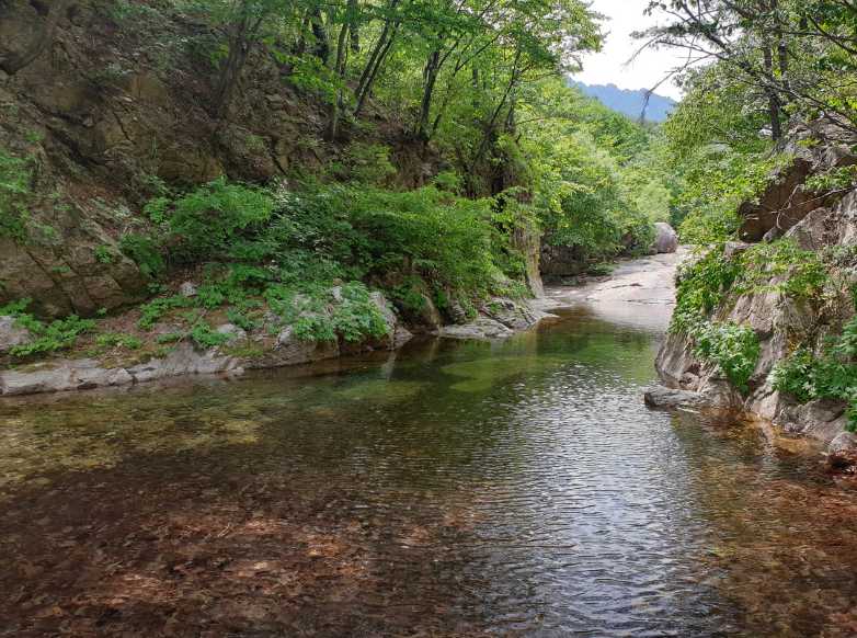 강원도 여행 설악산 울산바위 야영장 차박 미시령 계곡 물놀이 캠핑장 캠핑느루