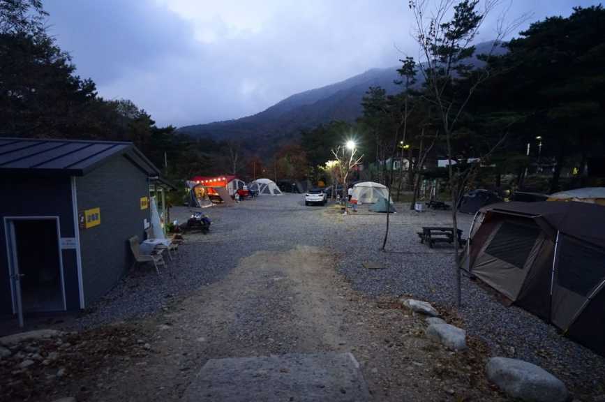 강원도 양양 텐트 여행 야영장 설악산 계곡 애완견 반려견 동반 오색산 새소리 캠핑장