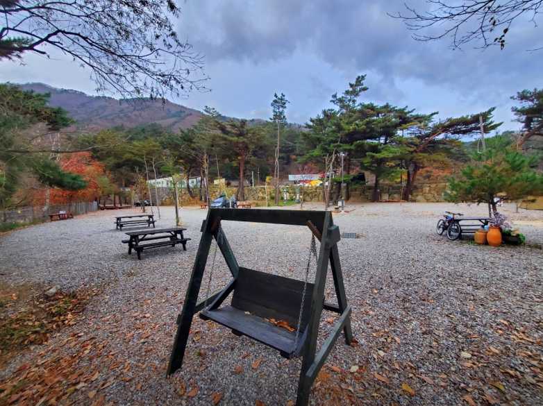 강원도 양양 텐트 여행 야영장 설악산 계곡 애완견 반려견 동반 오색산 새소리 캠핑장