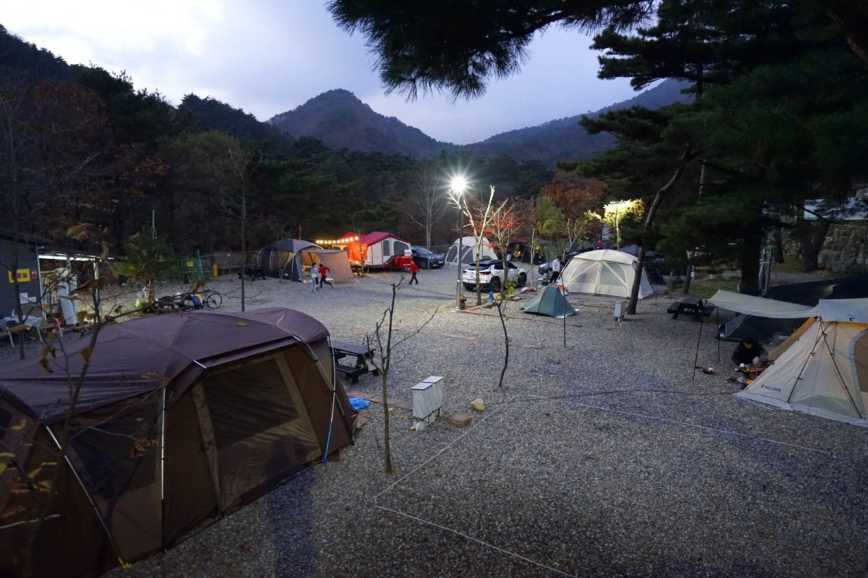 강원도 양양 텐트 여행 야영장 설악산 계곡 애완견 반려견 동반 오색산 새소리 캠핑장