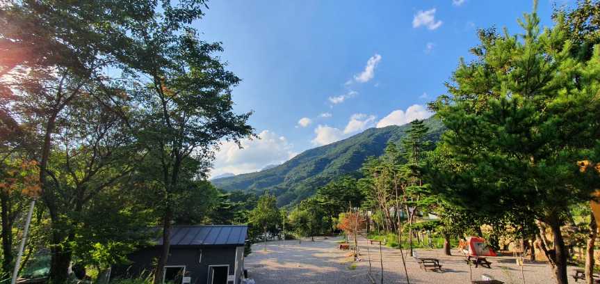 강원도 양양 텐트 여행 야영장 설악산 계곡 애완견 반려견 동반 오색산 새소리 캠핑장