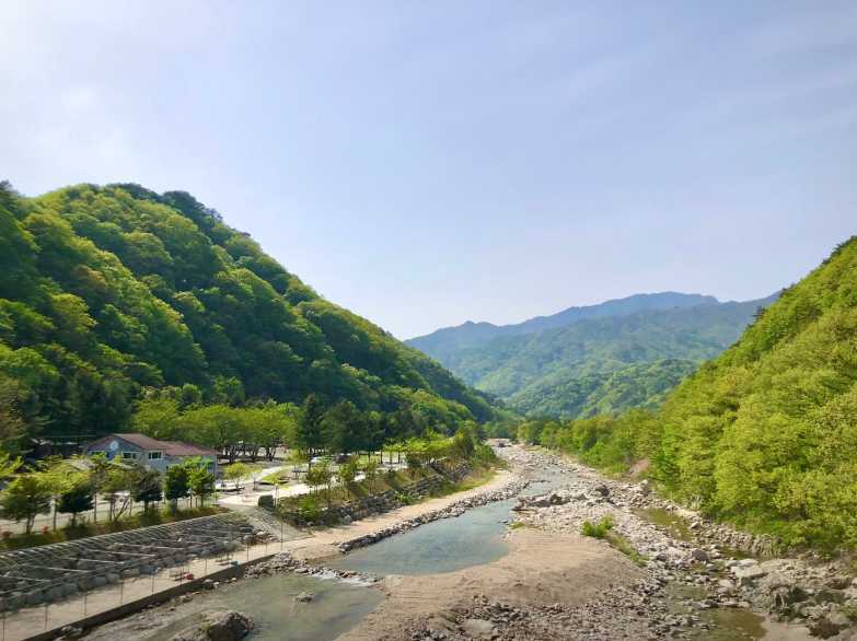 강원도 여행 양양 설악산 계곡 물놀이 애견 반려견 동반 야영장 오색허브농원 캠핑장