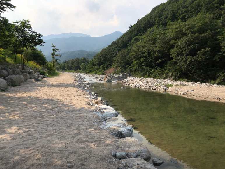 강원도 여행 양양 설악산 계곡 물놀이 애견 반려견 동반 야영장 오색허브농원 캠핑장