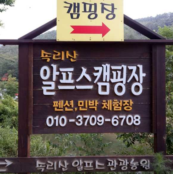 충청도 충북 보은 여행지 계곡 애견동반 야영장 속리산 알프스 캠핑장 펜션