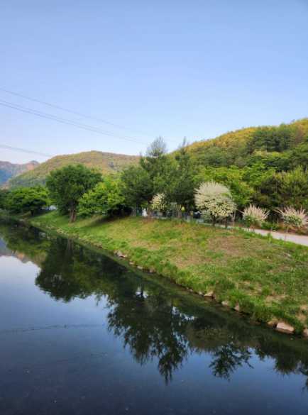 충청도 충북 보은 여행지 계곡 애견동반 야영장 속리산 알프스 캠핑장 펜션