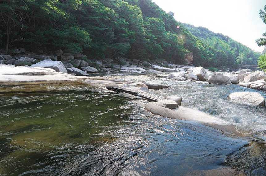 충청도 충북 괴산 청천수변공원 어린이 수영장 놀이터 야영장 숲속의하모니 캠핑장