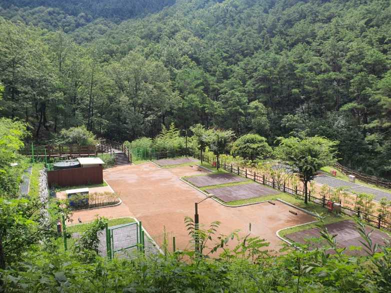 대구 근교 야영장 카라반 산림욕장 팔공산 인근 용암산성 오토 캠핑장