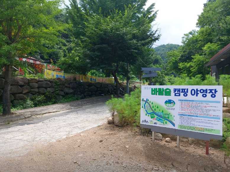 대구 근교 반려견 애견 동반 가능 캠핑장 팔공산 숲속 계곡 바람숲 야영장