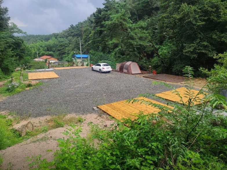 대구 근교 반려견 애견 동반 가능 캠핑장 팔공산 숲속 계곡 바람숲 야영장