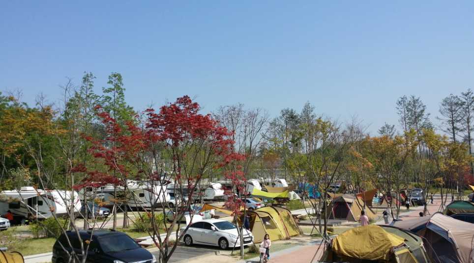 경기도 수원 용인 판교 도심 근교 카라반 광교 호수 공원 가족 캠핑장