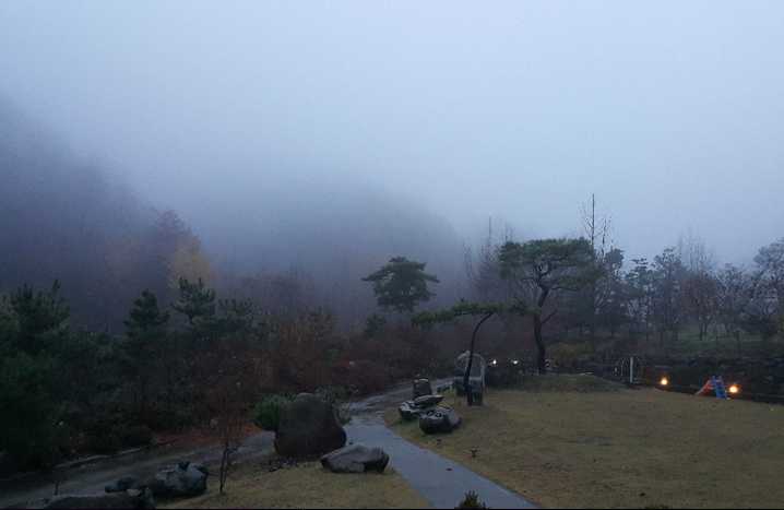 충청도 충북 충주시 여행 야영장 산림욕 물놀이장 계명산 나무 숲길 캠핑장