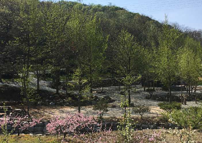 충청도 충북 충주시 여행 야영장 산림욕 물놀이장 계명산 나무 숲길 캠핑장