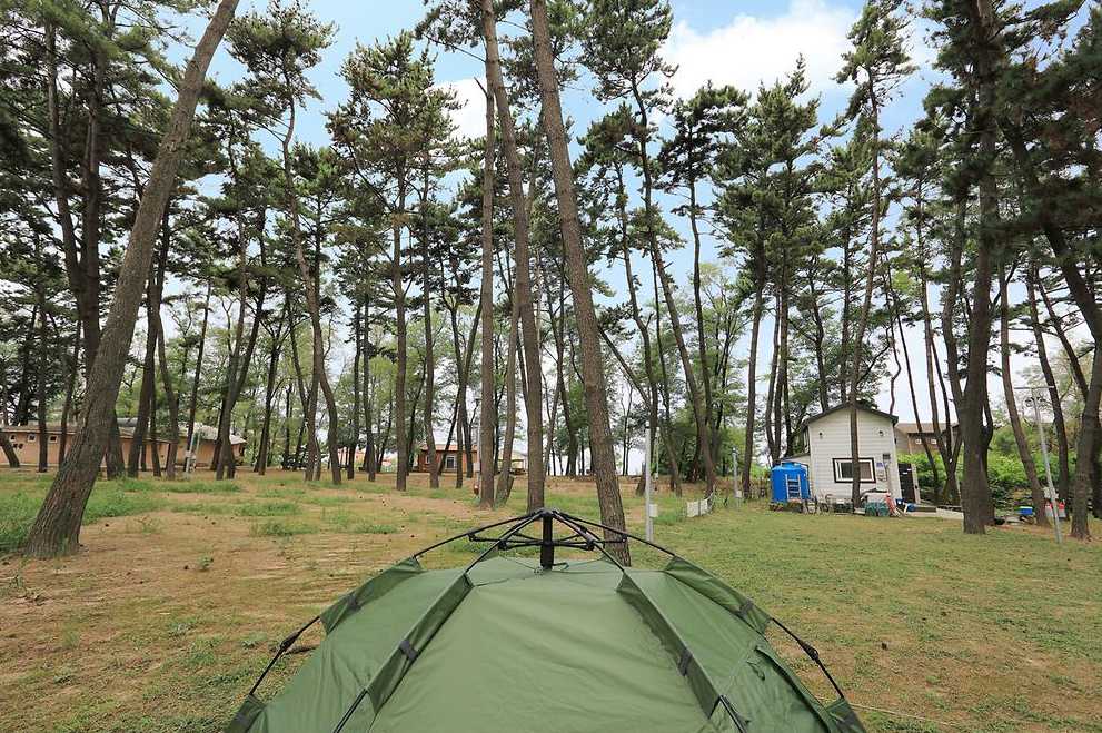 충청도 충남 서천 서면 야영장 서해 바다 해수욕장 물놀이 춘장대 캠핑장