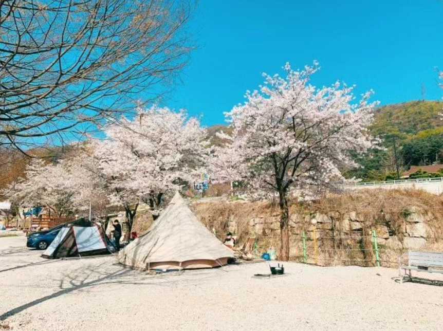 경기도 포천 야영장 계곡 반려견 애견 애완동물 소형견 동반가능 깊이울 캠핑장