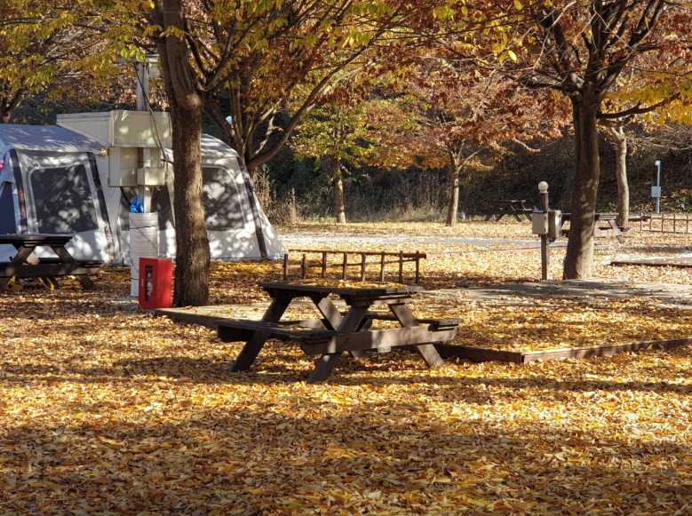 경기도 포천 야영장 계곡 반려견 애견 애완동물 소형견 동반가능 깊이울 캠핑장